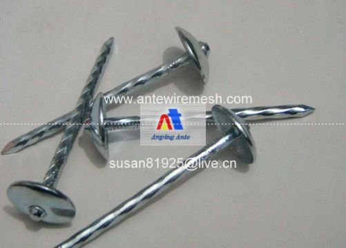 Roofing Nails